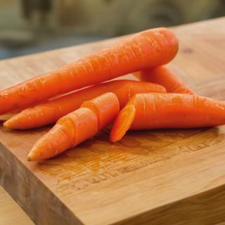 Touchon Carrot Thumbnail